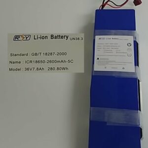 SWAGTRON EB-5 BATTERY V2/T Plug