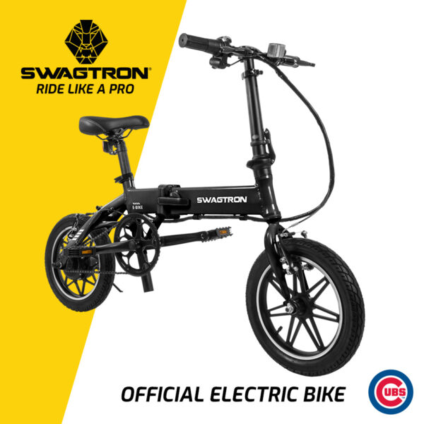 Folding Electric Bike EB5