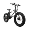 EB6 Fat Tire Electric Bike